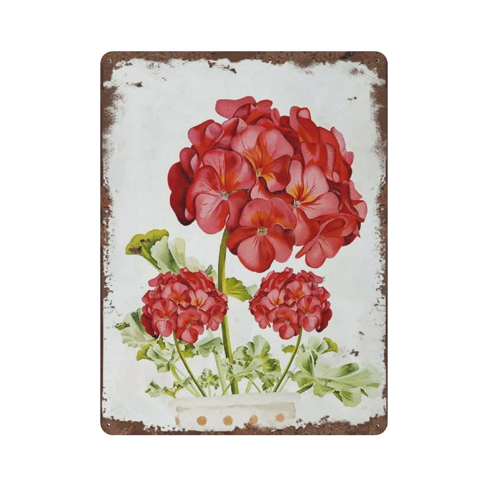 Metal Tin Sign Geranium Vintage Tin Poster Metal Sign Wall Decoration Country Kitchen Home Garage Decor 16"x12"