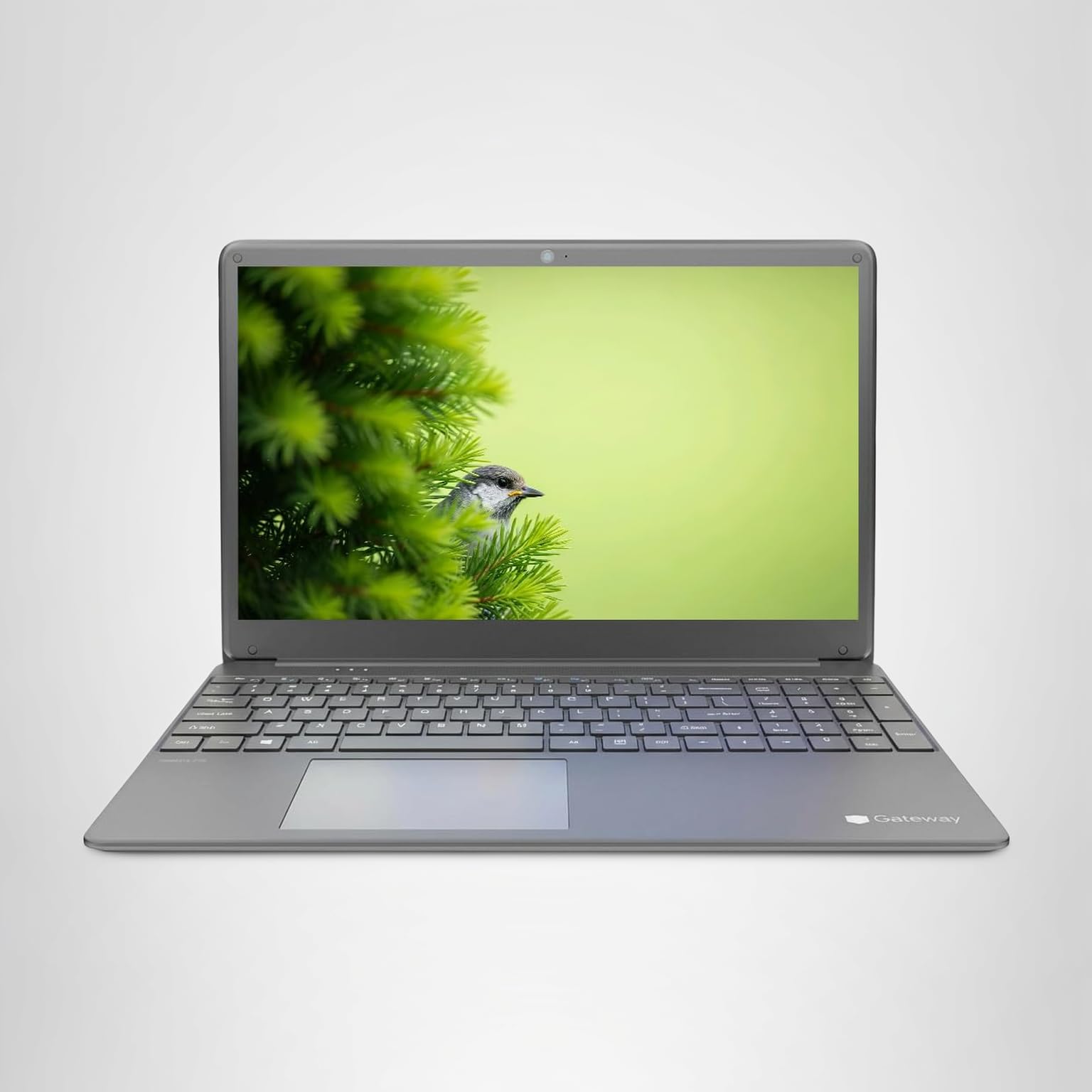 Amazon.co.jp: Acer (エイサー) Gateway 15.6インチ FHD IPS 軽量