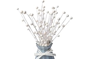 Vibrant White Birch Branches for Alluring Home Decor Creations