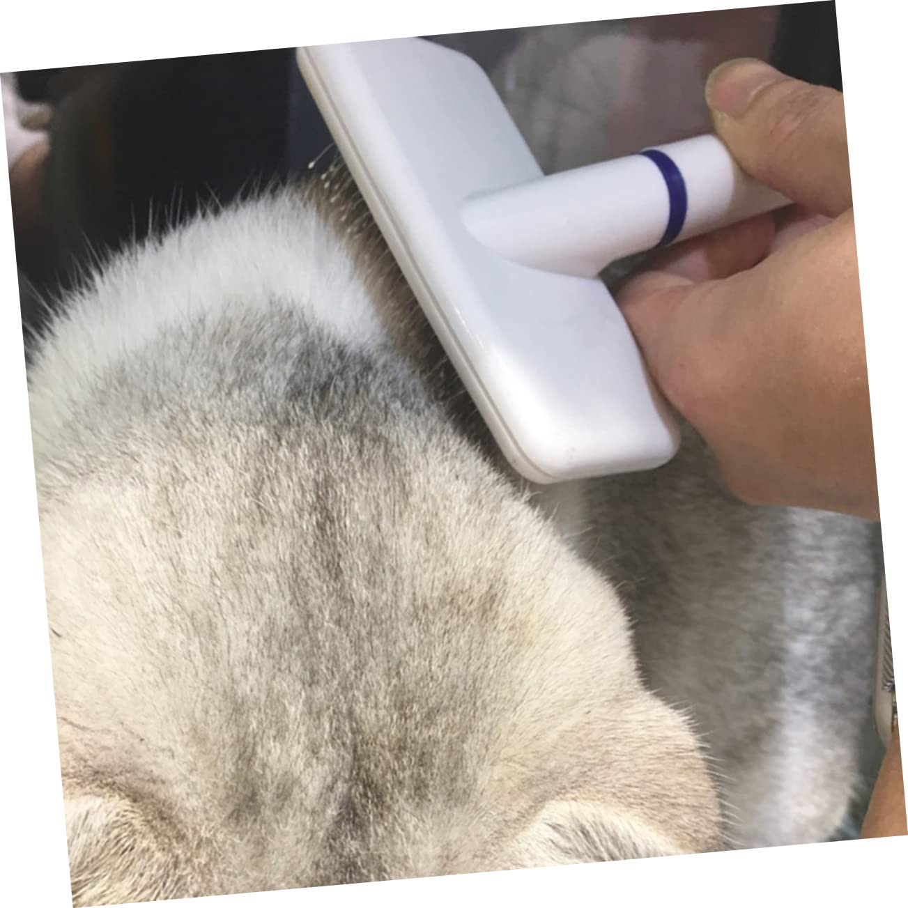 Brosse De Toilettage Pour Animaux De Compagnie Et Portable Pour Chiens Et à Poils Picots Pour Enlever Facilement Poils Morts Nœuds
