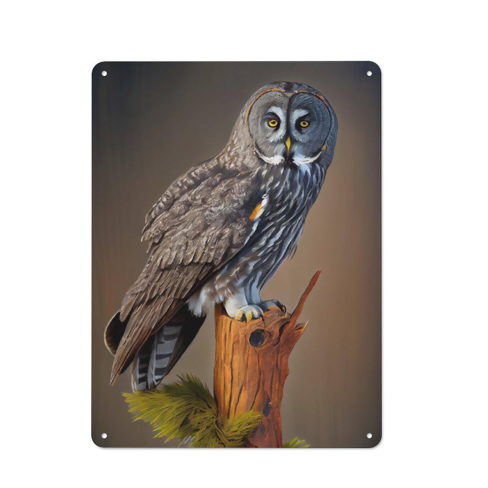 Great Gray Owl Metal Wall Sign 40x30cm, Clean Industrial Loft Wall Plaque for Workspace, Cafe, Hallway Or Garage