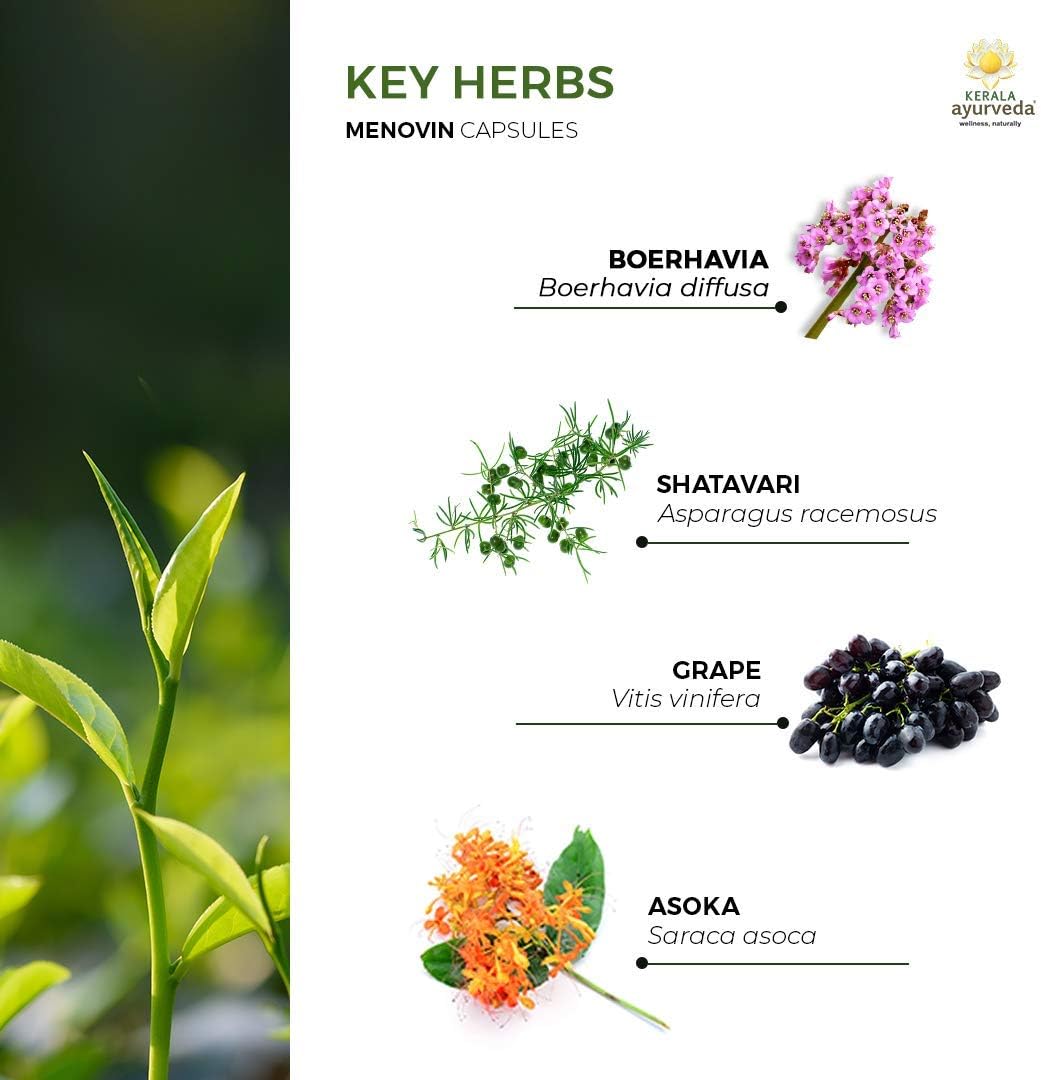 Kerala Ayurveda Menovin - Herbal Capsules for Supporting Healthy Female Reproductive System, Healthy Menstrual Flow & Menopausal Transition, 90 Count : Health & Household