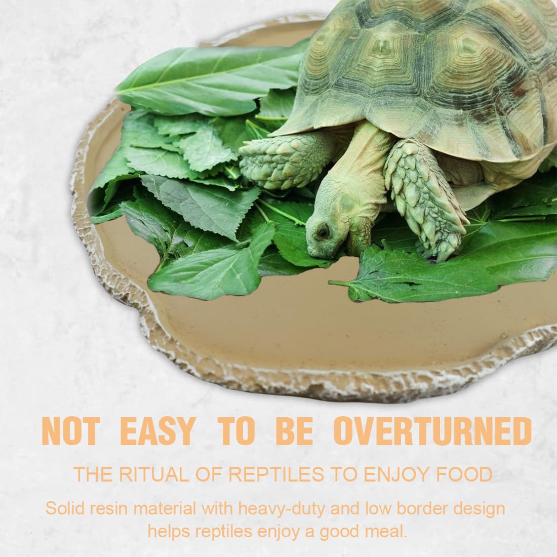 Ciotola Per Rettili BPTRKOM - Vassoio Cibo/Acqua Per Tartarughe, Gechi, Serpenti - PVC Facile Da Pulire