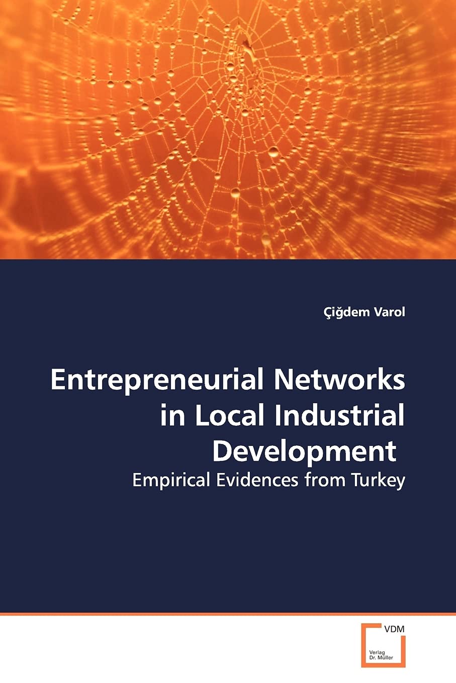 Entrepreneurial Networks in Local Industrial Development: Empirical Evidences from Turkey
