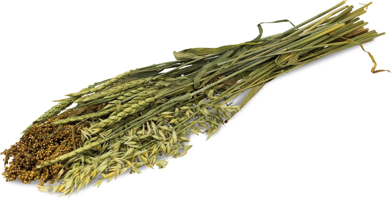 JR FARM ESN zbiory letnie 80 g