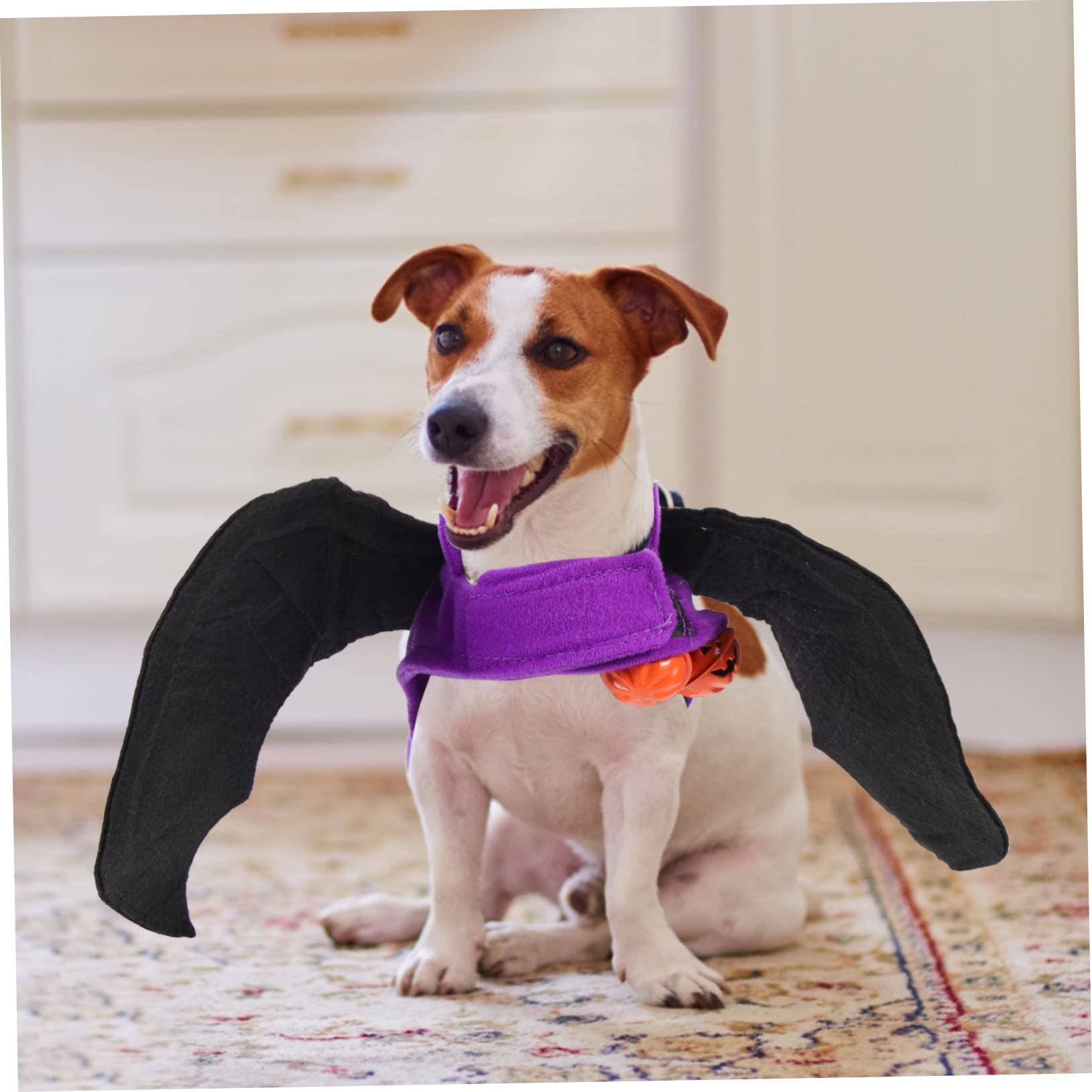 HANABASS 3piezas Disfraz De Halloween para Mascotas Diseño De Murciélago Ropa para Perros y Gatos Vestimenta Divertida para Fiestas y Fotos Campana