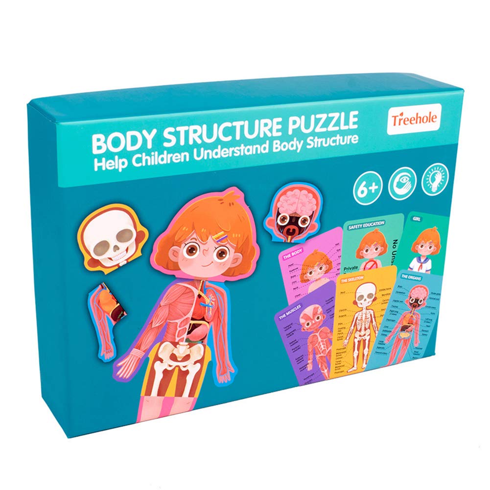 Buy Selotrot Body Structure Puzzle, Wooden Puzzles for Toddlers Kids
