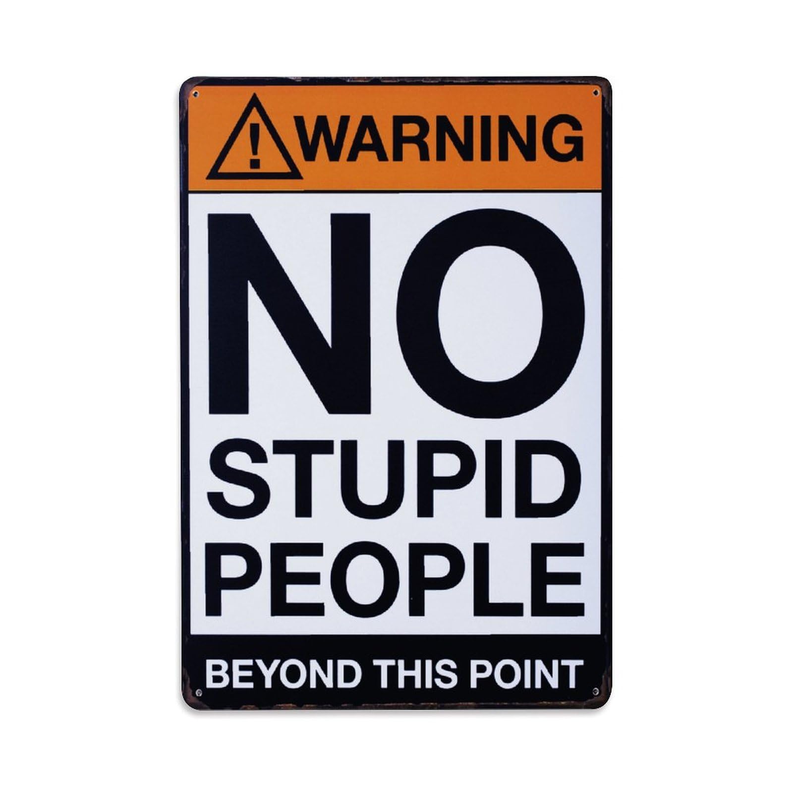 Warning No Stupid People Beyond This Point Funny Sign Vintage Aluminium Metal Sign, Retro Wall Decor for Home, Bar, Garage & Farmhouse 30x20cm