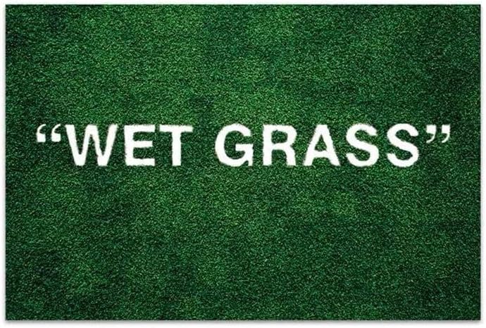Add a Pop of Green to Your Home with Our Soft & Non-Slip Wet Grass Rug - Perfect for Bedroom, Bathroom, and More! (24x35in)