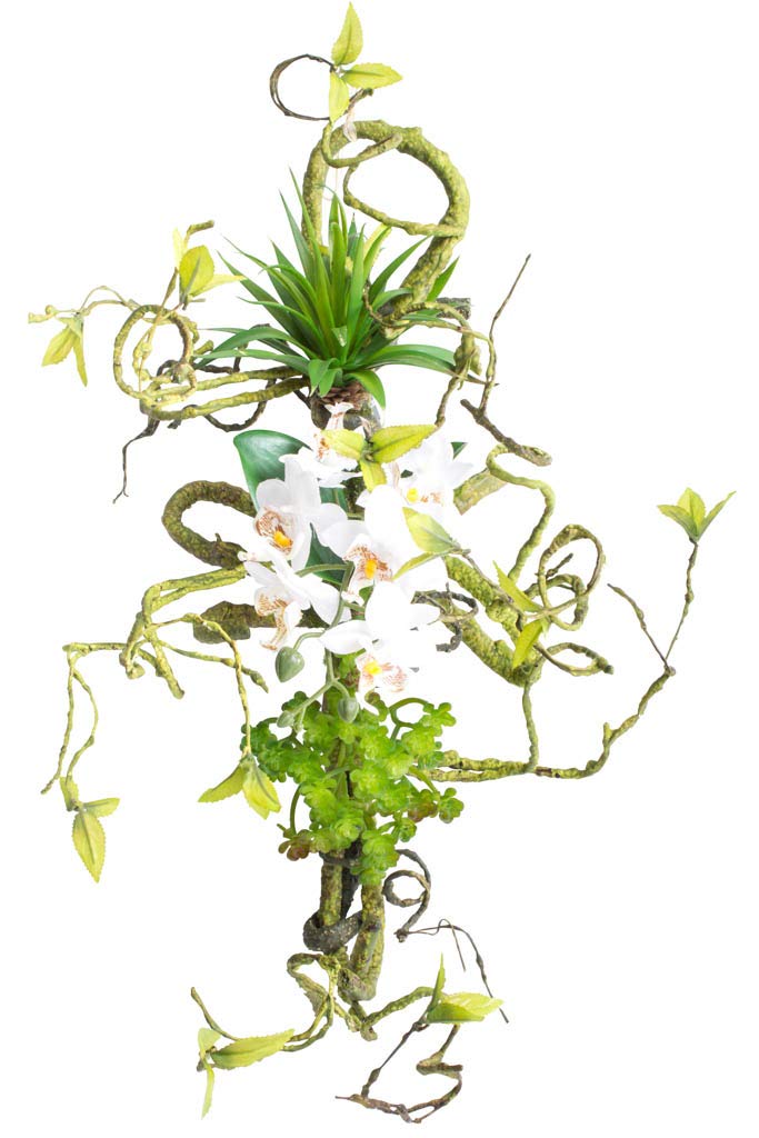 Amazon.de: Nova-Nature knstlicher Epiphyten-AST mit Orchideen und  Sukkulenten
