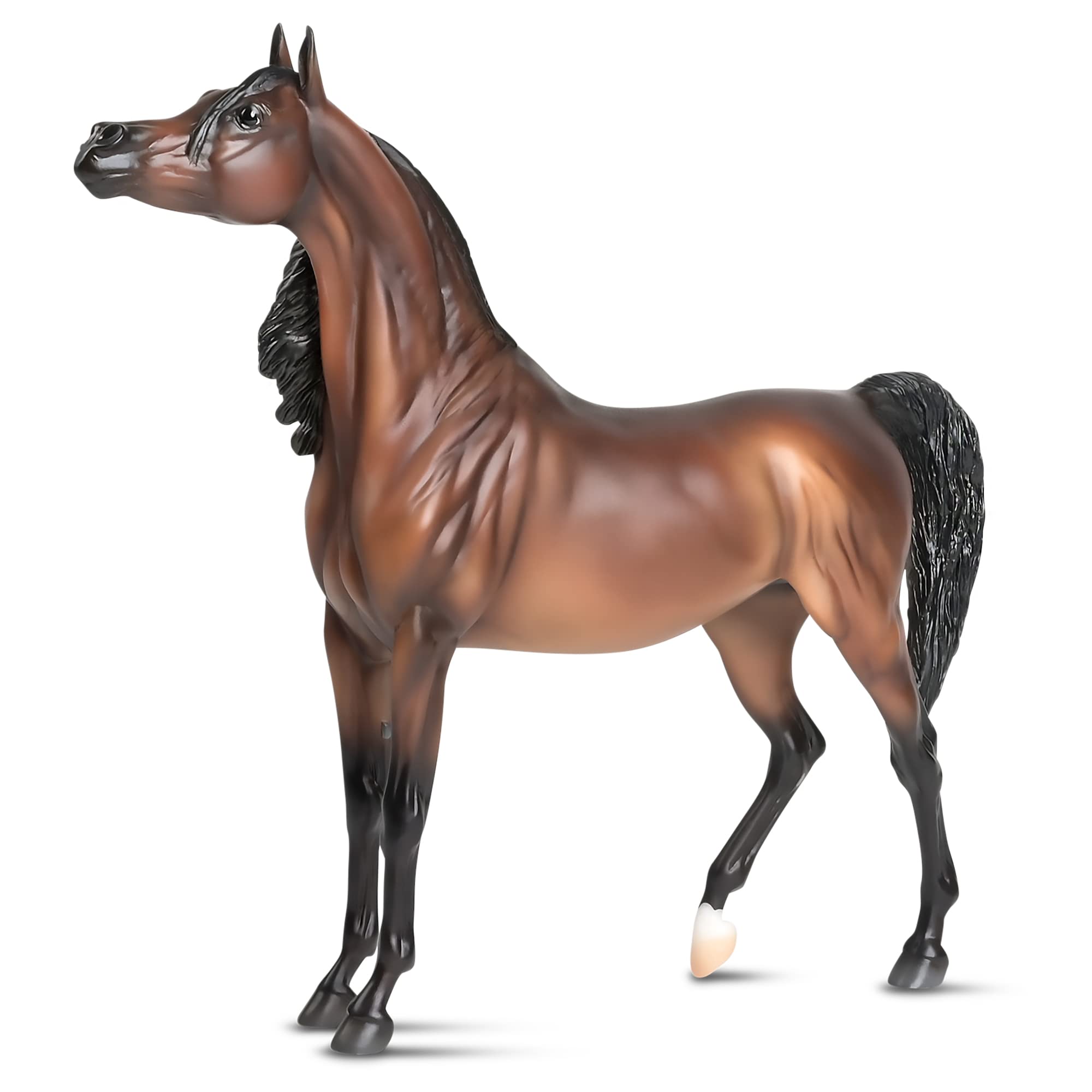 Breyer Horses Traditional Series RD Marciea Bey | Pferde-Spielzeugmodell | 35,6 x 25,4 cm | Maßstab 1:9 | Modell #1873