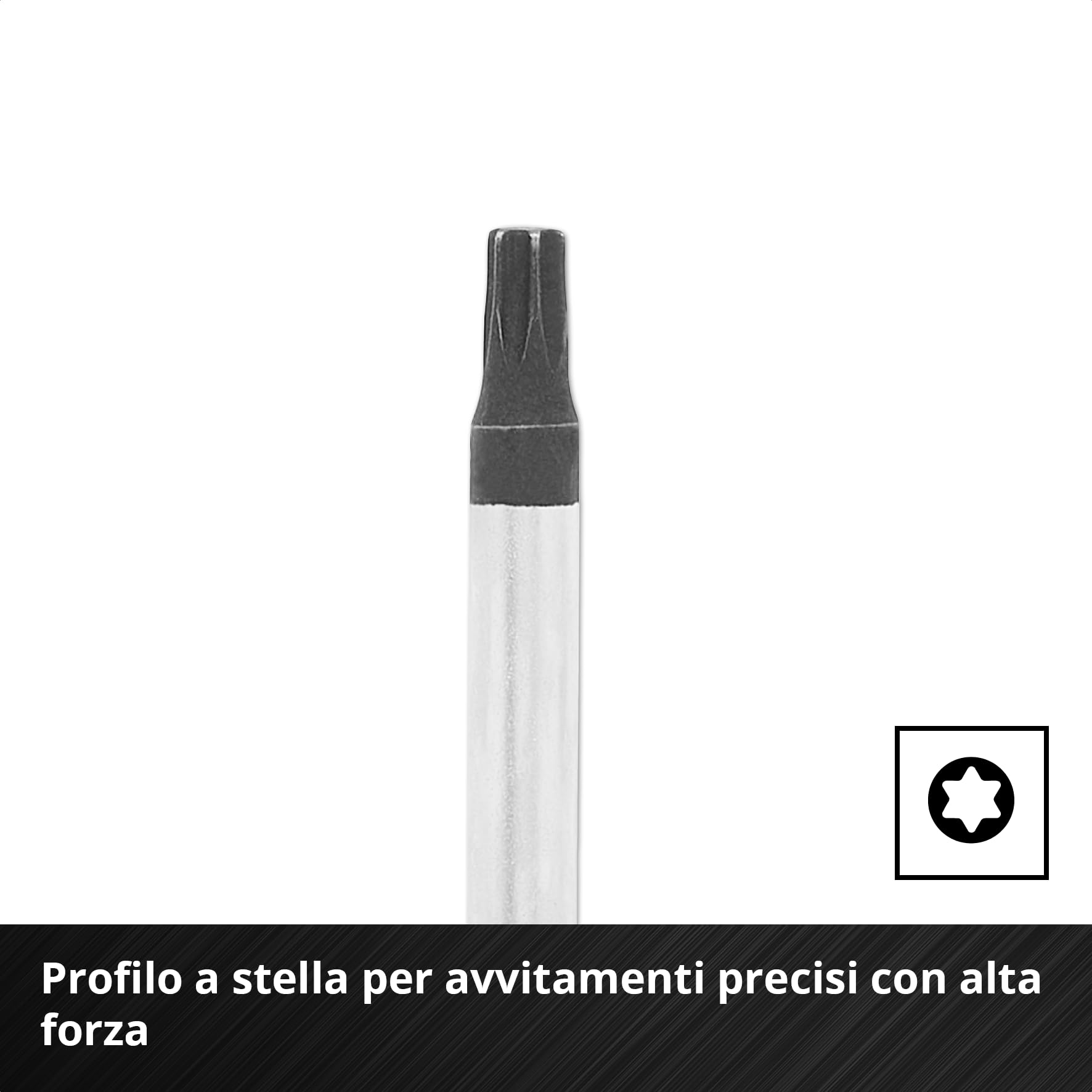 Einhell E-Case inserto portautensili 17 pezzi set di cacciaviti | Cacciaviti per carburatore | meccanica di precisione | calotta di battuta | profilo Torx | acciaio CrV | sistema E-Case