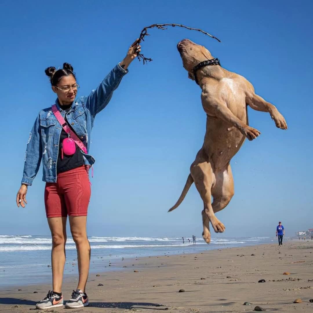 Big Dog Chain Collar, 32mm Cuban Link Walking Training Collar with Design Safety Buckle, Black Martingale Collars Stainless Steel Strong Heavy Duty Chew Proof Chain for All Breeds Medium/Large Dogs