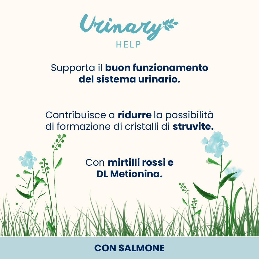 almo nature Functional Urinary Help - Cibo Umido per Gatti Adulti al Salmone - Supporto per Il Benessere delle Vie Urinarie - 30 Buste da 70g