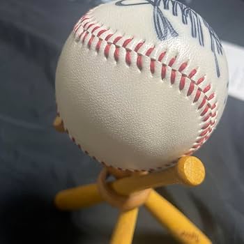 Amazon.co.jp: 掛布雅之 直筆サインボール 阪神タイガース31番