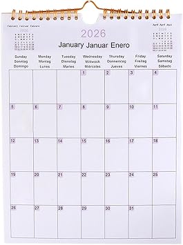 Wall Calendar 2026 12 Month Aesthetic
