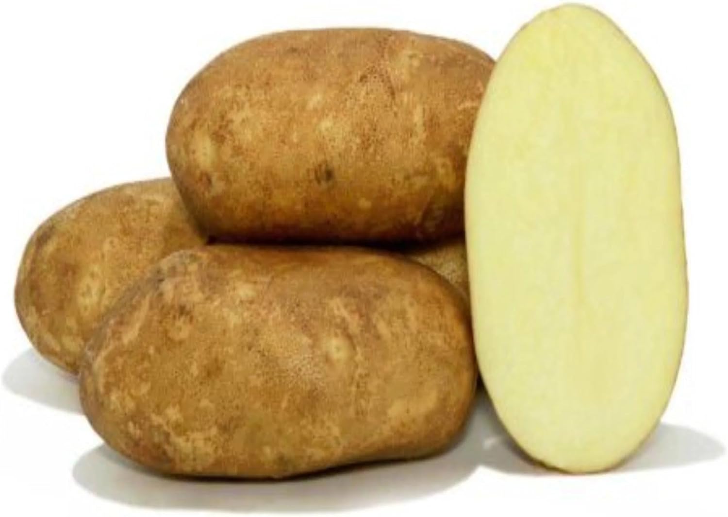 Votaniki Goldrush Russet Potato Seed for Planting – Versatile & High Yielding, Perfect for Home Gardens and Farms | Grow Your Own Vegetables, Easy to Grow (25 Pack)