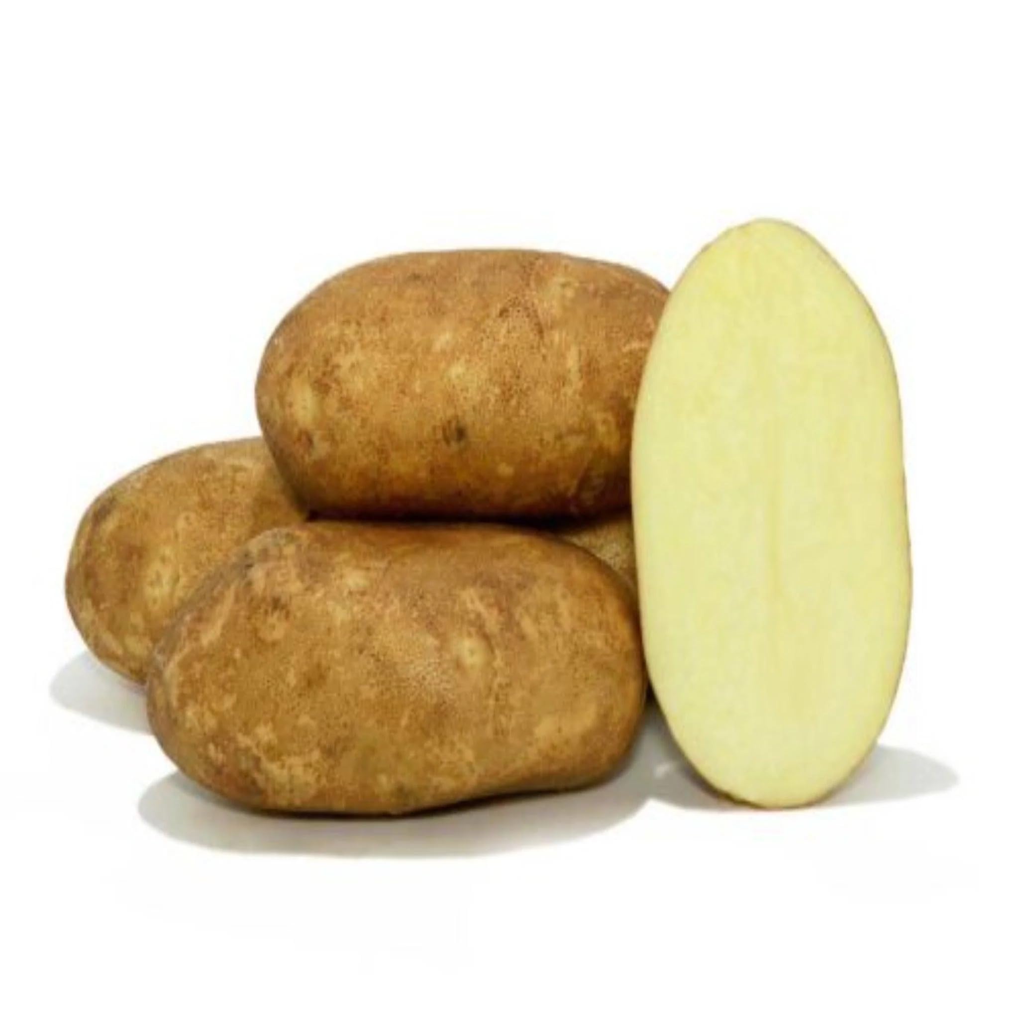 Votaniki Goldrush Russet Potato Seed