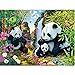 Nicole Knupfer DIY Süße Tiere 5D Diamond Painting Diamant Malerei Full Kristall Strass Bilder Wohnzimmer Dekor Wand Aufkleber (Panda,40x30cm)