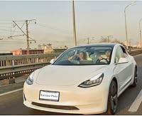 Vista 3 de oFloral Marco de matrícula de aleación de aluminio para automóvil con pastor alemán, aplicable a las normas de Estados Unidos, marco de metal