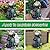 RCTTICUU Dog Garden Statue Outdoor Décor with Solar Lights Lantern,Dog Solar Light Figurines Outside Decorations for Yard?Lawn ,Patio, Balcony, Unique Housewarming Gifts