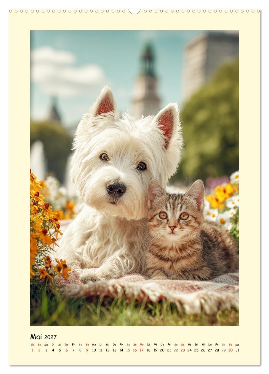 Süßer Wuschelkopf. West Highland White Terrier Momente (Wandkalender 2027 DIN A2 hoch), CALVENDO Monatskalender: Die fröhlichen, mutigen und charmanten Westies in zauberhaften Bildern (CALVENDO Tiere)