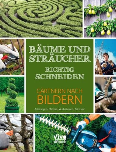 Bäume und Sträucher richtig schneiden