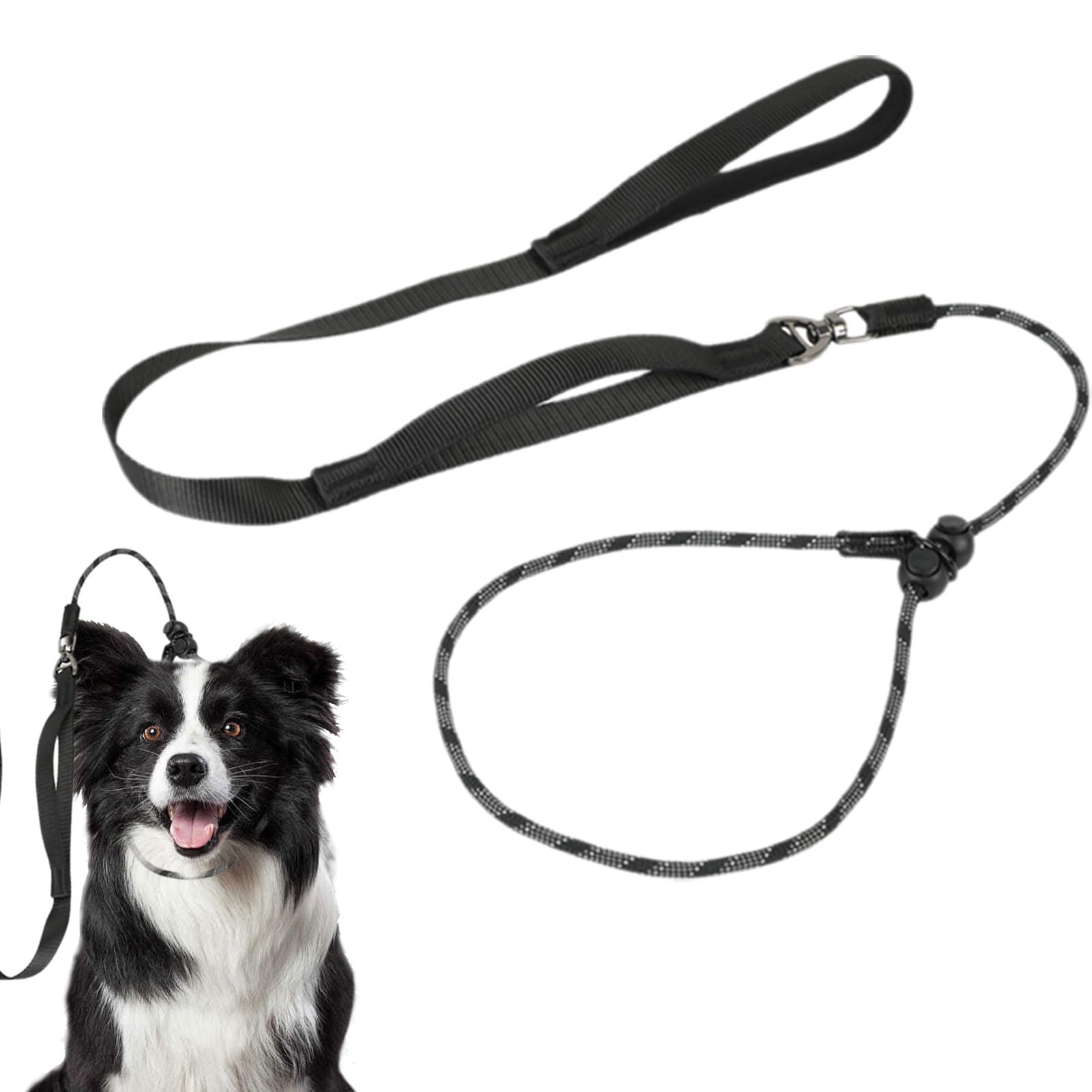 Dog Slip Leash, No Pull Nylon Training Leash Rope, Anti-Choking Adjustable Collar, Thin Dog Leashes for Outdoor Puppy Small Medium Large Dogs(Black)