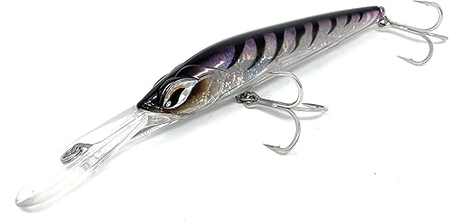 Capt Jay Fishing Señuelos de pesca de buceo profundo, señuelo de pesca para agua salada disponible en Yaxa Colombia