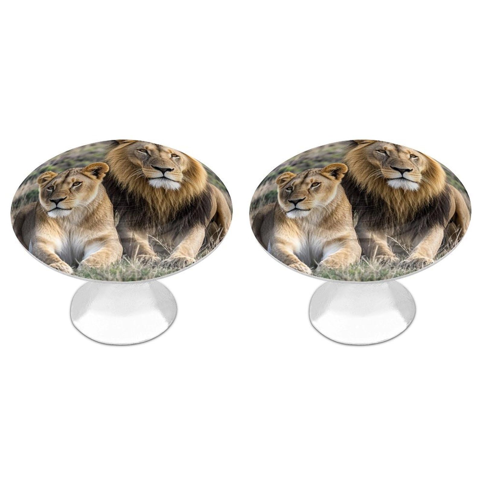 FekiLoot African Lion and Lioness Cabinet Knobs 2 Pack Stainless Steel Round Dresser Drawer Knobs Kitchen Drawer Hardware Dresser Knob Closet Door Pulls Cabinet Handles for Cupboard Drawer Pulls