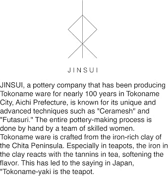 JINSUI IROIRO 01 Japanese Ceramic Teapot 10oz – Tokoname Ware with Ceramic Mesh Strainer – Handmade in Japan (Black)