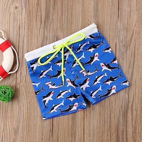 Toddler Boys Swim Trunks Swimming Shorts Summer Elastic Waist Beach Board Shorts Bathing Suit Swimwear2