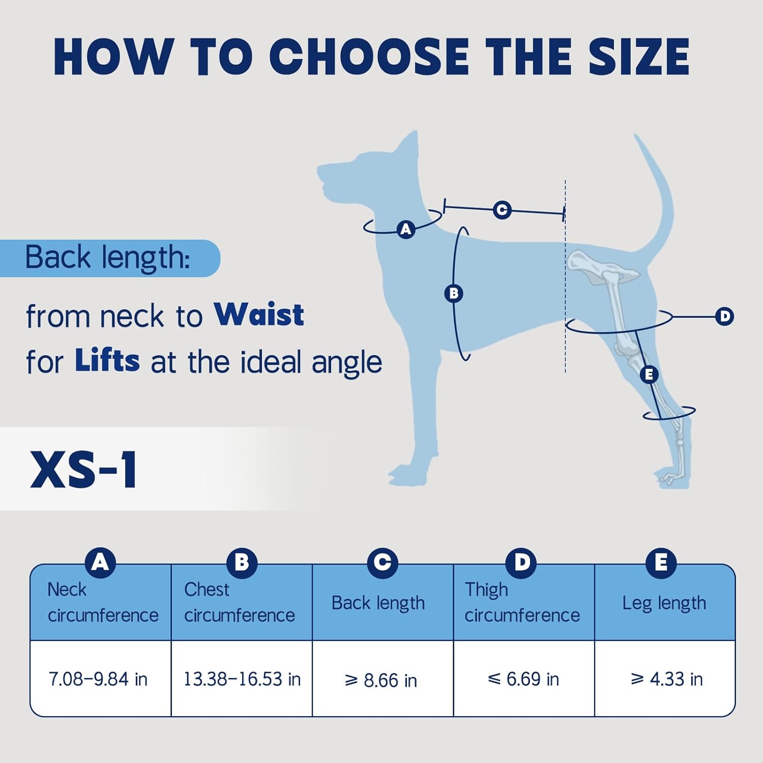 Dog Knee Brace for Torn ACL Hind Leg, Adjustable Dog Leg Brace with Metal Stabilizers Strong Joint Support to Reduce Pain from Arthritis, Ligament Injury, Hip Dysplasia, Luxating Patella (XS-1)