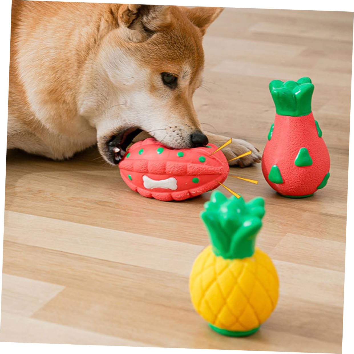 POPETPOP 5stücke Kauspielzeug Für Hunde Langlebigem Interaktives Spielzeug Mit Geräuschen Für Und Kleine Mittelgroße Beschäftigung Und Zahnpflege