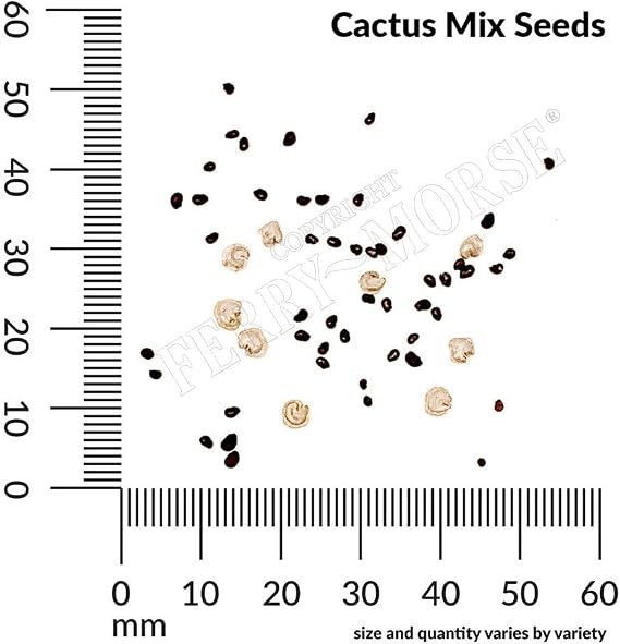 Ferry-Morse Online Edition Cactus Mixed Varieties Seed Multipack - 8 Pack
