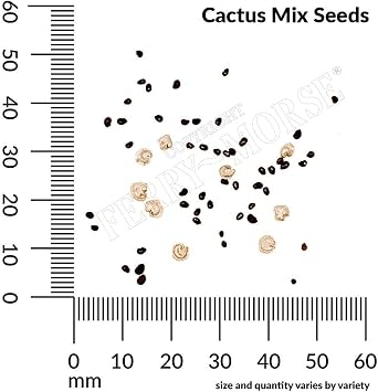 Ferry-Morse Online Edition Cactus Mixed Varieties Seed Multipack - 8 Pack