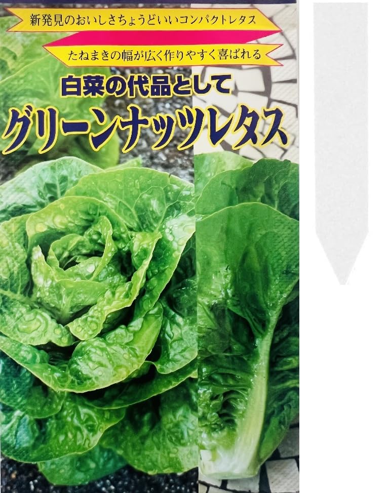 Amazon.co.jp: グリーンナッツ レタス （白菜を代品する新レタス） 種