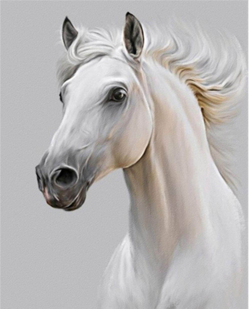 Peinture numero cheval blanc : reussir son tableau acrylique sans savoir dessiner