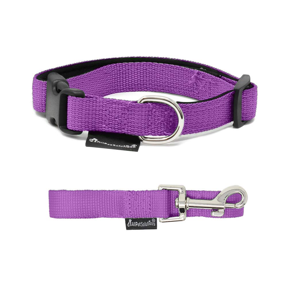 All Pet Solutions Puppy Dog Strong Durable 6ft Lead and Adjustable Collar Set (Medium, Purple)