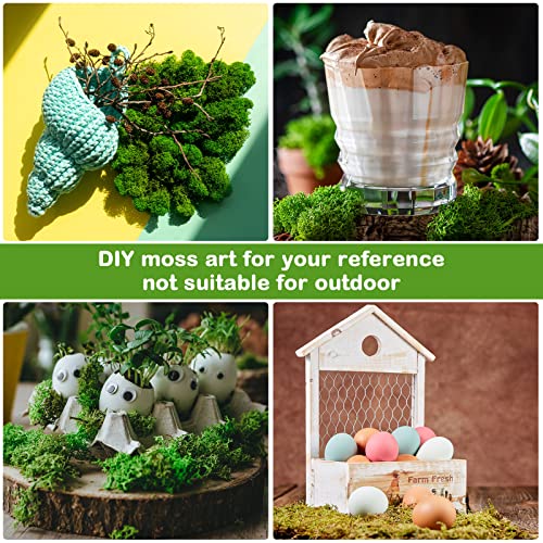 2.2 Lb Preserved Moss Natural Dried Reindeer Moss 4 Colors Moss For Crafts Floral Moss For Diy Arts Wall Home Office Terrariums Wedding Centerpieces Decoration, Each Color 8.8 Oz #TOP3