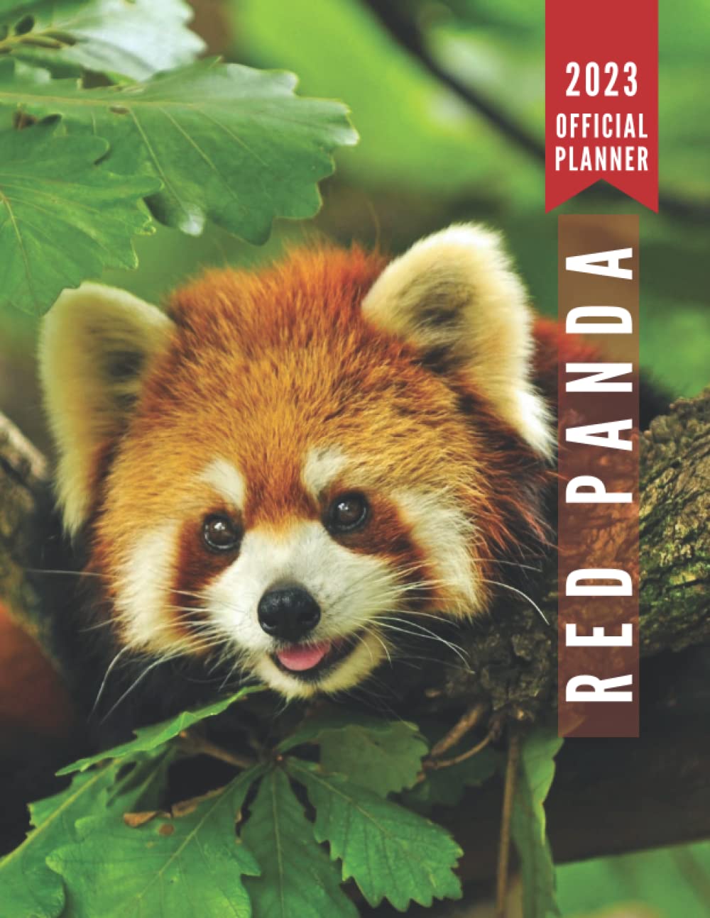 Buy Red panda 2023 Planner: Red panda Monthly Weekly Daily Planner 2023