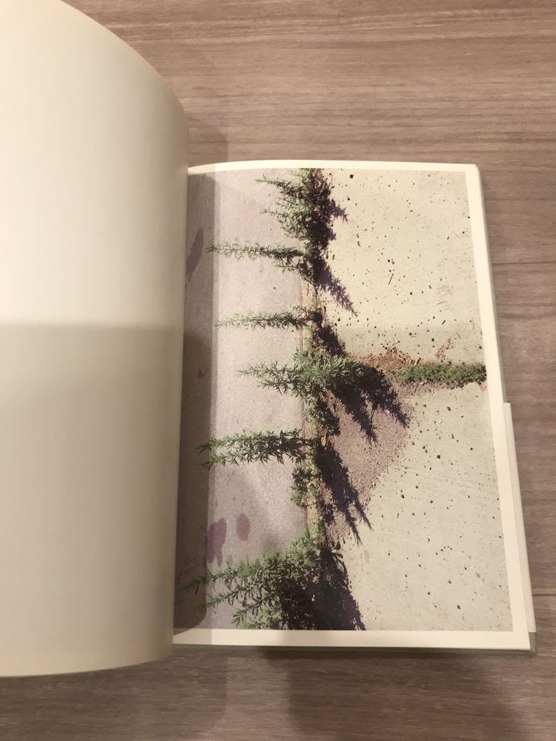 Amazon.co.jp: Mark Borthwick: Furnitured Ways : おもちゃ