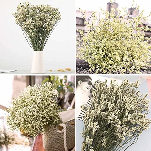 Dried Flowers Babys Breath Bouquet, Natural White Dry Flowers – 17'' 1800+ Ivory Flowers, Preserved Gypsophila Branches For Wedding, Farmhouse Vase Decor, Diy Wreath Floral, Home Party Decoration #TOP6