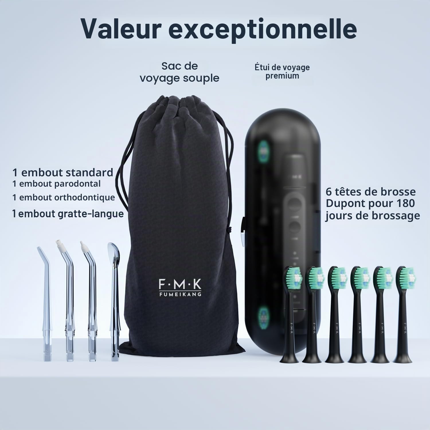 Hydropulseur et brosse à dents électrique pour adultes - Irrigateur buccal et brosse à dents sonique 2-1 - Kit de nettoyage buccal (noir)