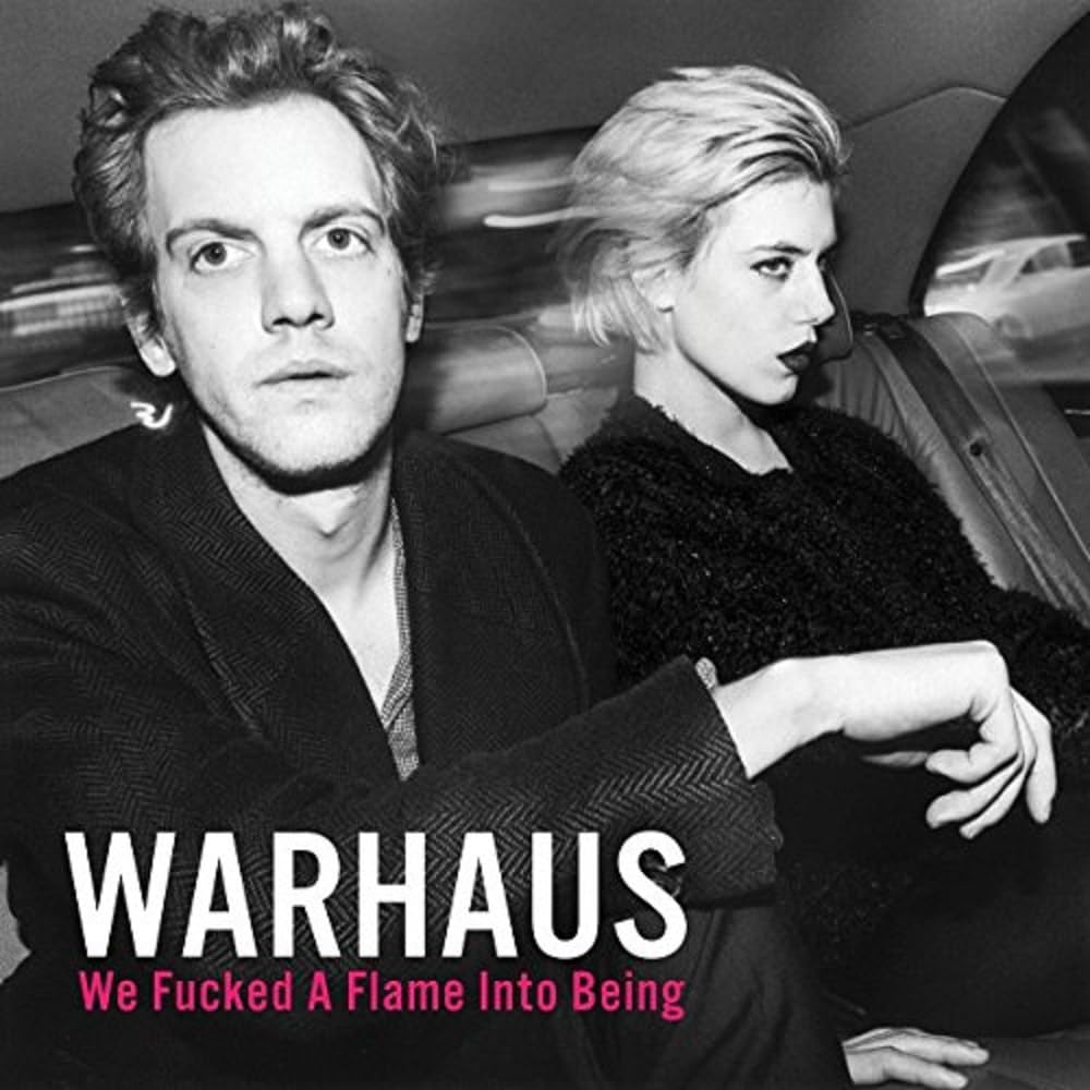 We Fucked A Flame Into Being [VINYL]