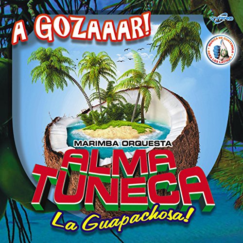 A Gozaar! Música de Guatemala para los Latinos de Marimba Orquesta Alma