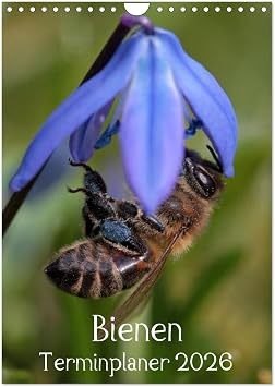 Bee diary 2026, US-Version Wall Calendar 2026 DIN A4 Portrait, CALVENDO 12 Month Wall Calendar