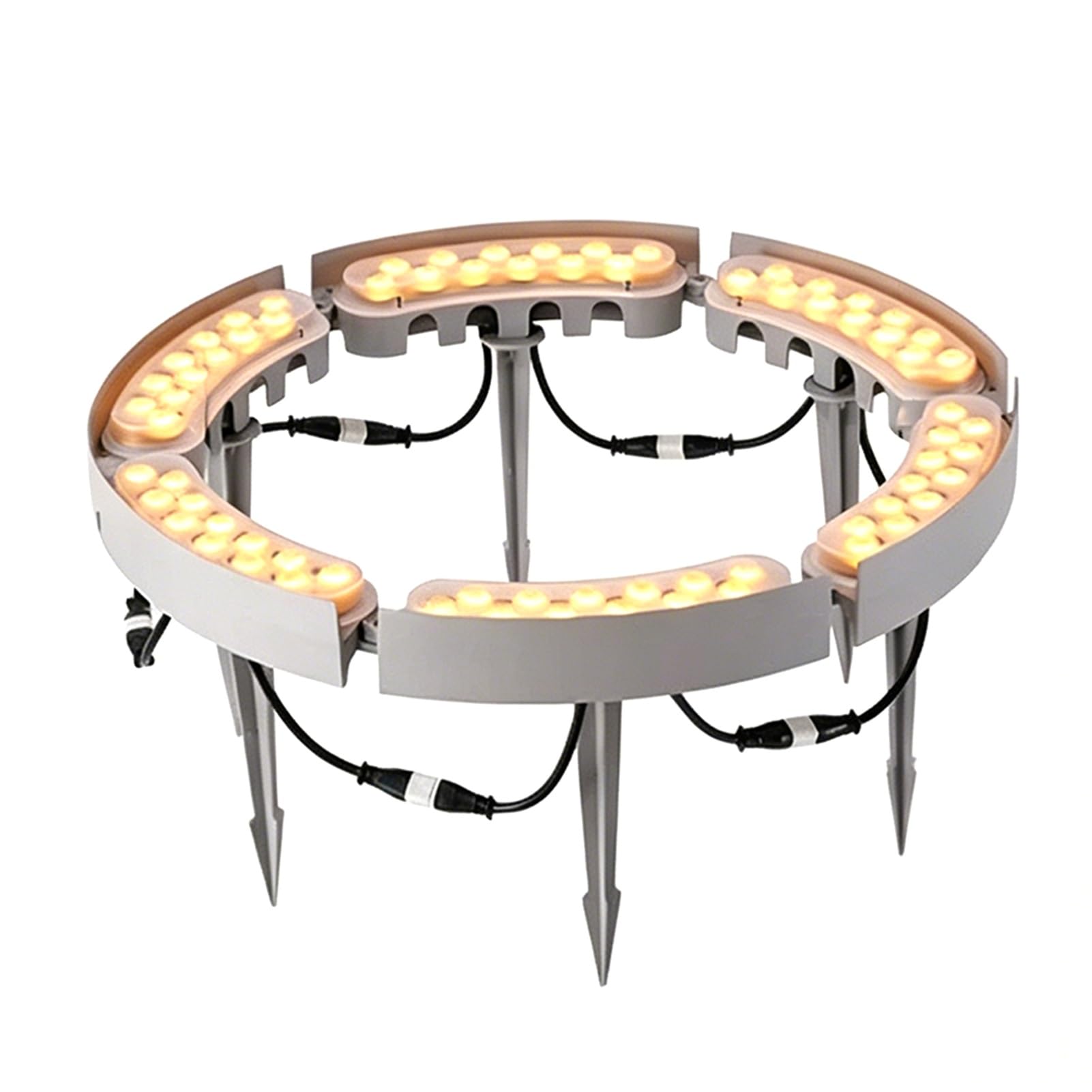 JCWGLY Low Voltage 24V Outdoor LED Tree Light IP65 Waterproof Ring Lights for Palm Tree and Plant Lighting, Uplighting Spotlights for Garden and Yard Landscaping(6 Lights)