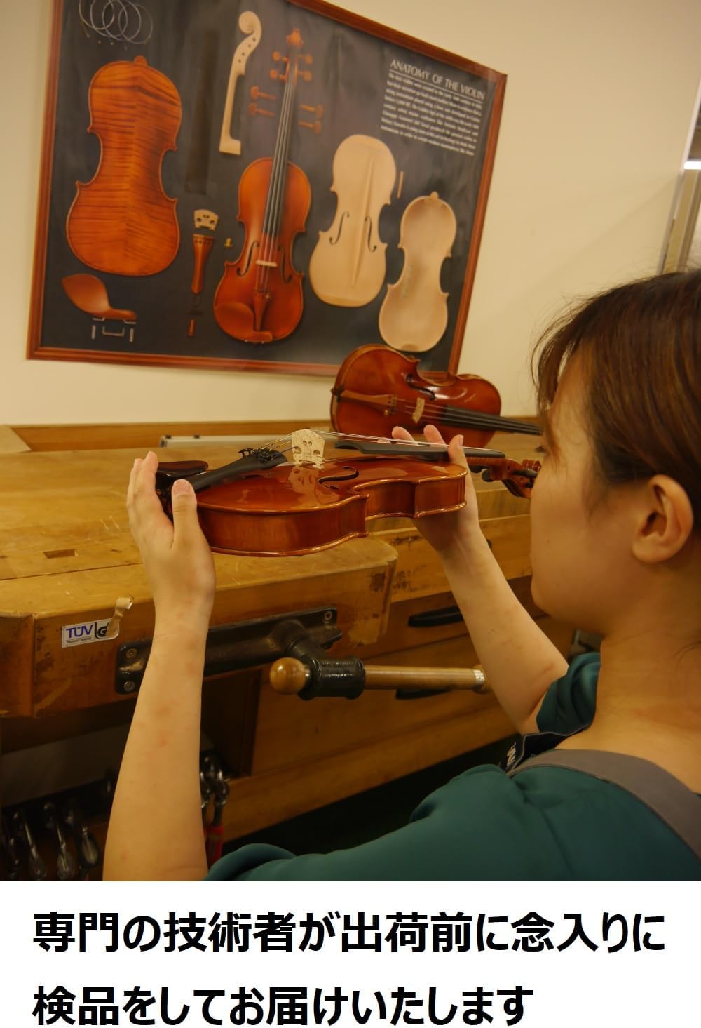 メカ生体 ゾイド 1980年代 小学館 付録 決戦暗号カード 7枚セット メカ