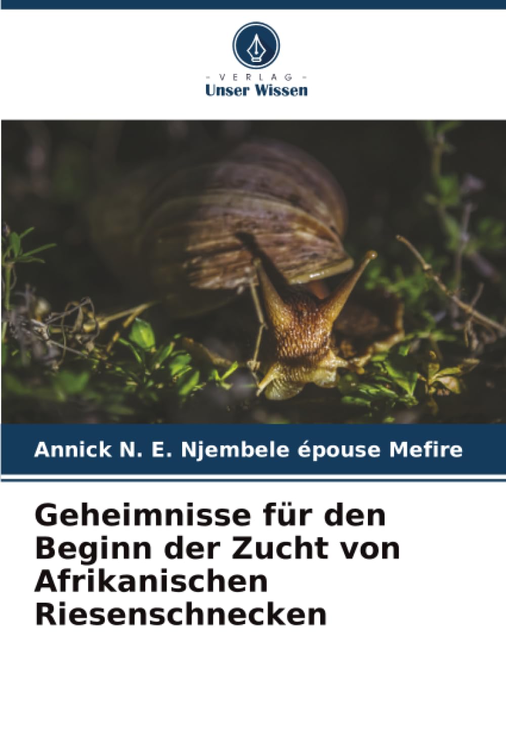 Geheimnisse für den Beginn der Zucht von Afrikanischen Riesenschnecken